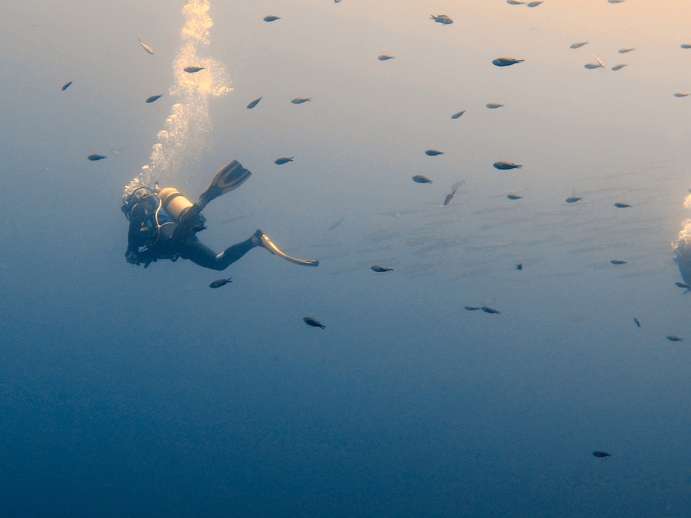 Underwater around Hyères, France